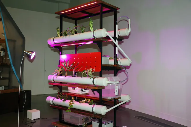 Plant synth